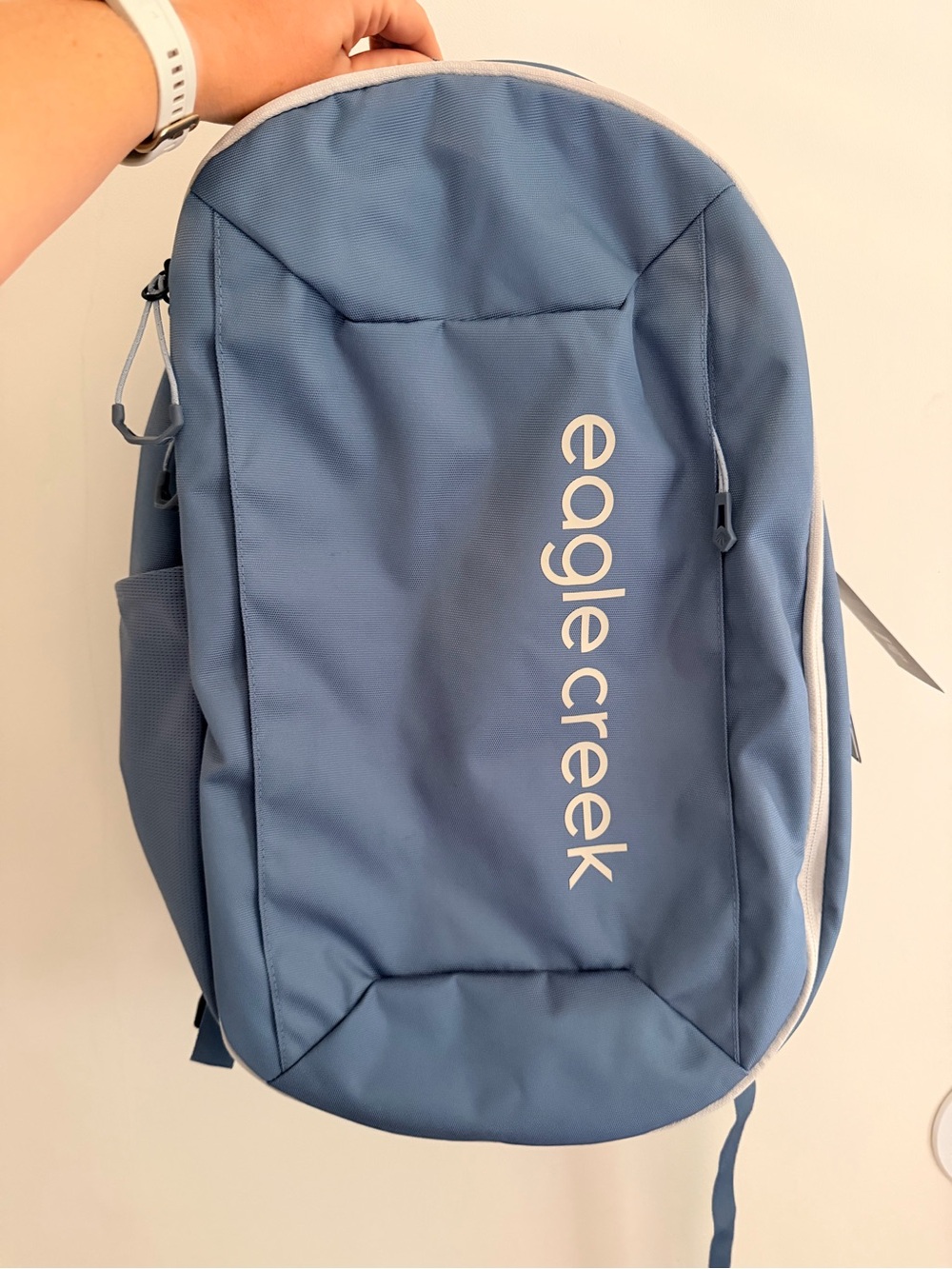 Eagle Creek Blue Everyday Backpack